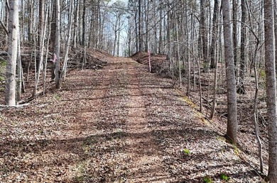 7 Gorgeous wooded acres in scenic Habersham County, GA - photo 4