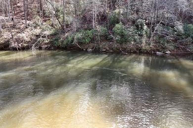 7 Gorgeous wooded acres in scenic Habersham County, GA - photo 6