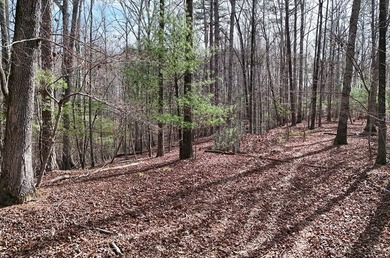 7 Gorgeous wooded acres in scenic Habersham County, GA - photo 7