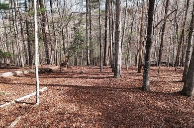 7 Gorgeous wooded acres in scenic Habersham County, GA - photo 8