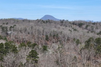 7 Gorgeous wooded acres in scenic Habersham County, GA - photo 9