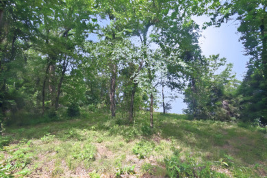 PRIME Lake Fork Waterfront Lot has .815 deeded acre + Leaseback - photo 8
