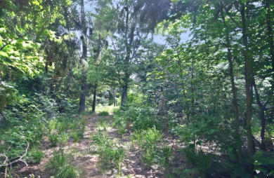 PRIME Lake Fork Waterfront Lot has .815 deeded acre + Leaseback - photo 11