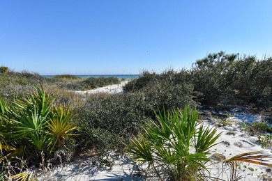 St. George Island Plantation Gulf Front lot. 100' Beach Frontage - photo 3