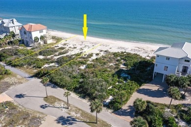 St. George Island Plantation Gulf Front lot. 100' Beach Frontage - photo 4