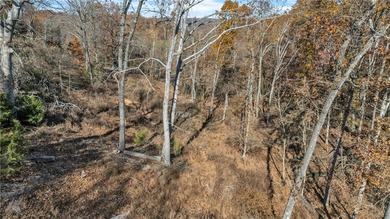 This 6.27-acre Prairie Creek gem is the kind of place folks - photo 8