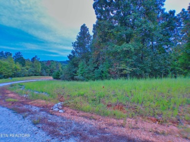 Lake Lot For Sale in La Follette, Tennessee