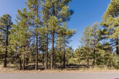 Pinon Lake Lot For Sale in Pagosa Springs Colorado
