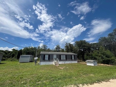 Manufactured Home in the Heart of the Ocala National Forest - photo 1