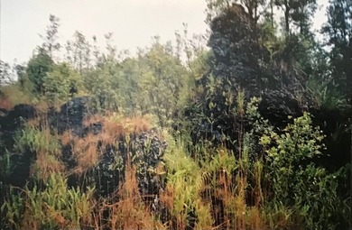 Steam vent property - Rare opportunity to own approximately 13.4 - photo 8