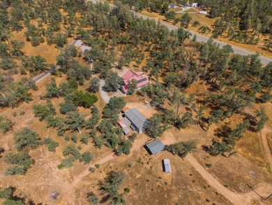 Bright beautiful custom home on 9 acres with gated driveway - photo 23