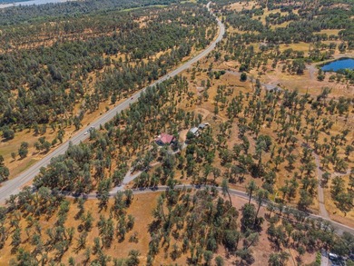 Bright beautiful custom home on 9 acres with gated driveway - photo 24