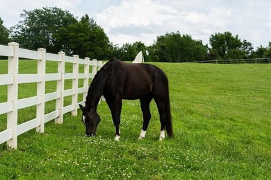 You do not want to miss this amazing property with an incredible - photo 2