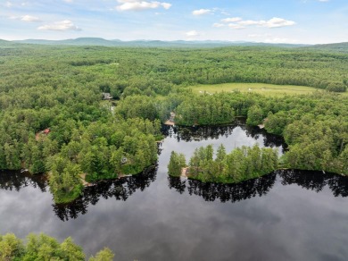 Lake Lot For Sale in Newfield, Maine