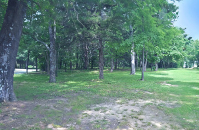 PRIME Lake Fork Waterfront Lot has .815 deeded acre + Leaseback - photo 4