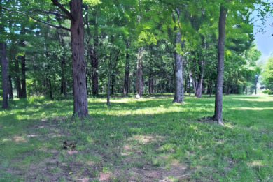 PRIME Lake Fork Waterfront Lot has .815 deeded acre + Leaseback - photo 3