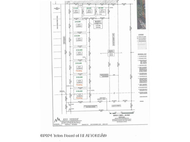 This is one of the first R-2 subdivisions to come on the market - photo 12