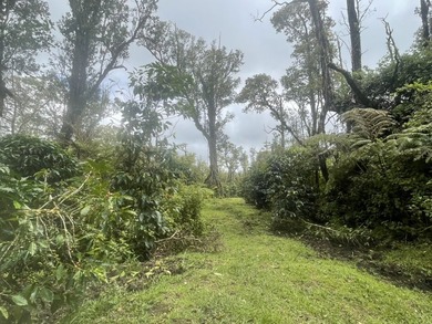 Opportunity knocks in Volcano. This property offers a unique - photo 2
