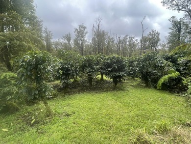 Opportunity knocks in Volcano. This property offers a unique - photo 3