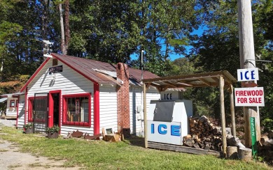 Lake Commercial For Sale in Blairsville, Georgia
