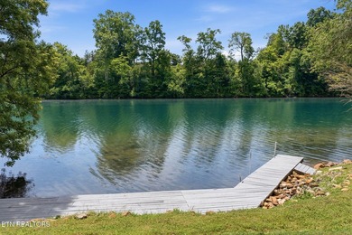 Waterfront Living on the Clinch River - 452 Mariner Point Drive - photo 6