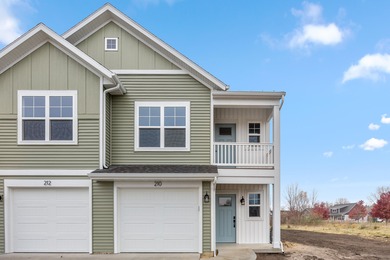 Lake Michigan - Van Buren County Condo For Sale in South Haven Michigan