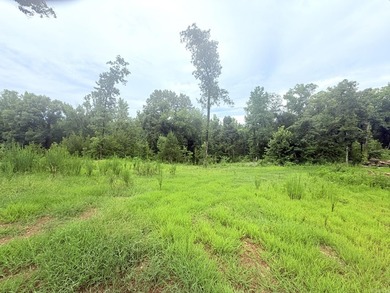 12.26 beautiful acres with endless possibilities! Nestled on a - photo 2