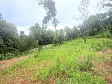 12.26 beautiful acres with endless possibilities! Nestled on a - photo 5