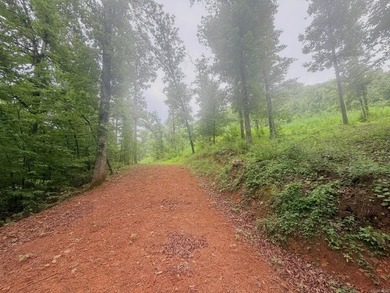 12.26 beautiful acres with endless possibilities! Nestled on a - photo 6