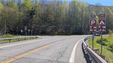 Just south of the Pepacton Reservoir on the scenic south side of - photo 12