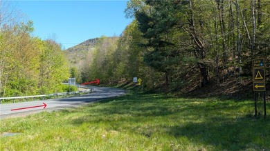 Just south of the Pepacton Reservoir on the scenic south side of - photo 13