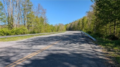 Just south of the Pepacton Reservoir on the scenic south side of - photo 14
