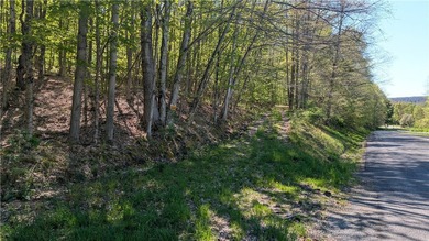 Just south of the Pepacton Reservoir on the scenic south side of - photo 15