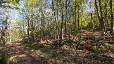 Just south of the Pepacton Reservoir on the scenic south side of - photo 18