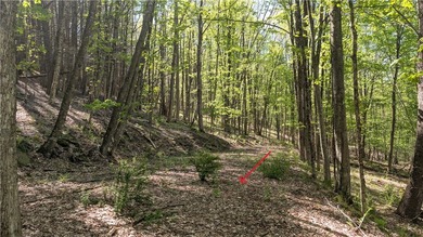 Just south of the Pepacton Reservoir on the scenic south side of - photo 19