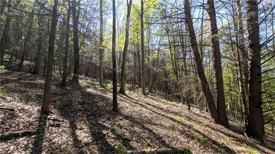 Just south of the Pepacton Reservoir on the scenic south side of - photo 20