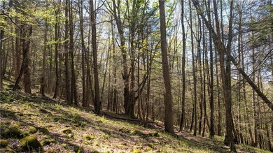 Just south of the Pepacton Reservoir on the scenic south side of - photo 23