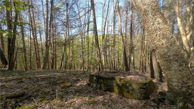 Just south of the Pepacton Reservoir on the scenic south side of - photo 24