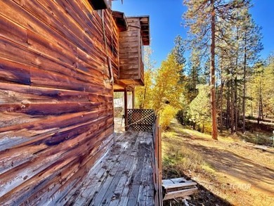 Two adjacent 1.5+ acre lots each with garden sites and solid - photo 24