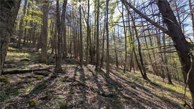 Just south of the Pepacton Reservoir on the scenic south side of - photo 25