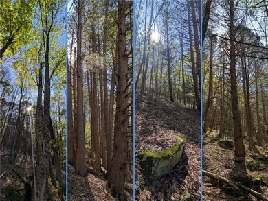 Just south of the Pepacton Reservoir on the scenic south side of - photo 26