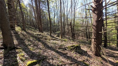 Just south of the Pepacton Reservoir on the scenic south side of - photo 29