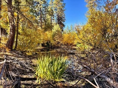 Two adjacent 1.5+ acre lots each with garden sites and solid - photo 30