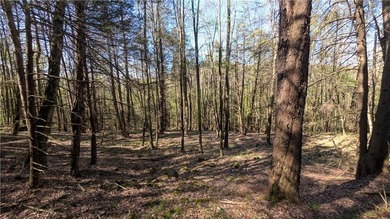 Just south of the Pepacton Reservoir on the scenic south side of - photo 31