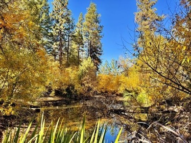 Two adjacent 1.5+ acre lots each with garden sites and solid - photo 31