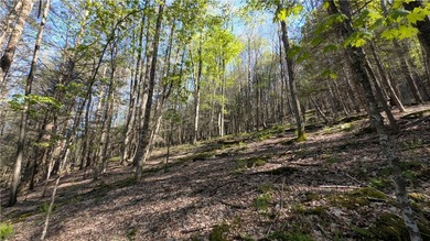 Just south of the Pepacton Reservoir on the scenic south side of - photo 32