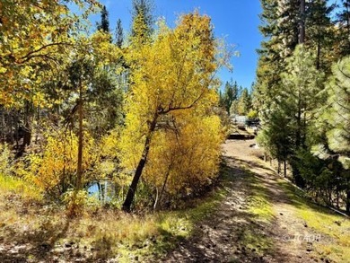 Two adjacent 1.5+ acre lots each with garden sites and solid - photo 32