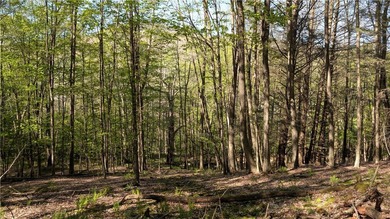 Just south of the Pepacton Reservoir on the scenic south side of - photo 33