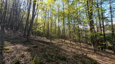 Just south of the Pepacton Reservoir on the scenic south side of - photo 34