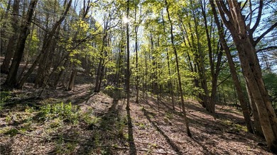 Just south of the Pepacton Reservoir on the scenic south side of - photo 35
